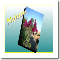 Nature7